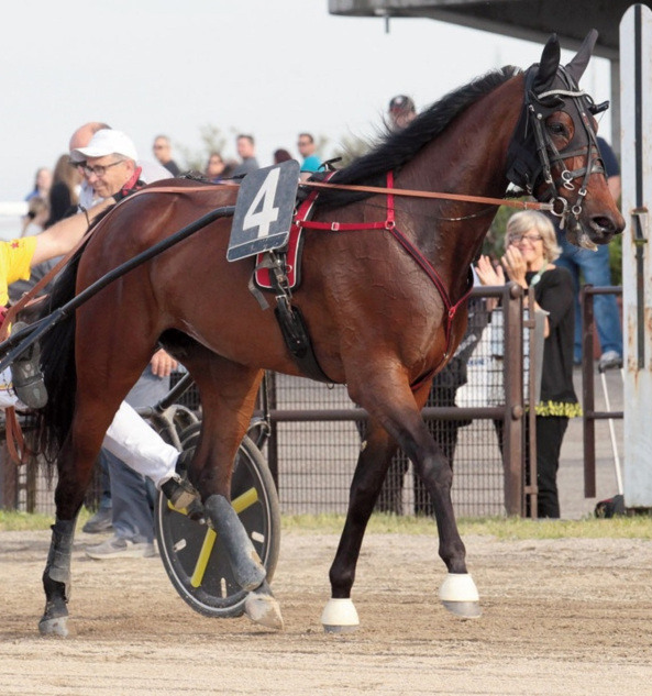 valchiria derby del trotto giardini spa